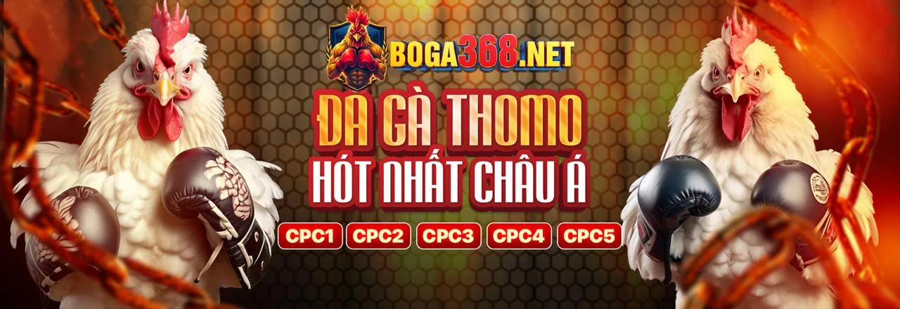 Blog 23win02 - Nơi chia sẻ kiến thức và tin tức cá cược mới nhất