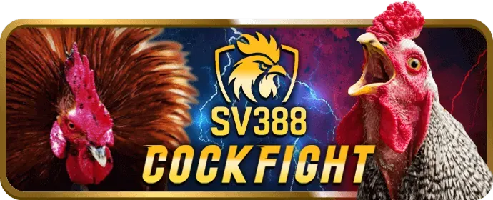 Cá cược nhanh chóng trên 23win02